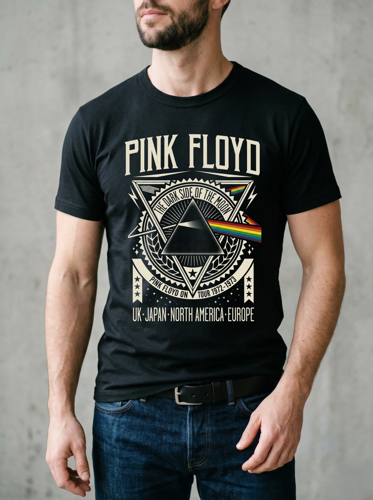 Remera Fanwear Pink Floyd Unisex